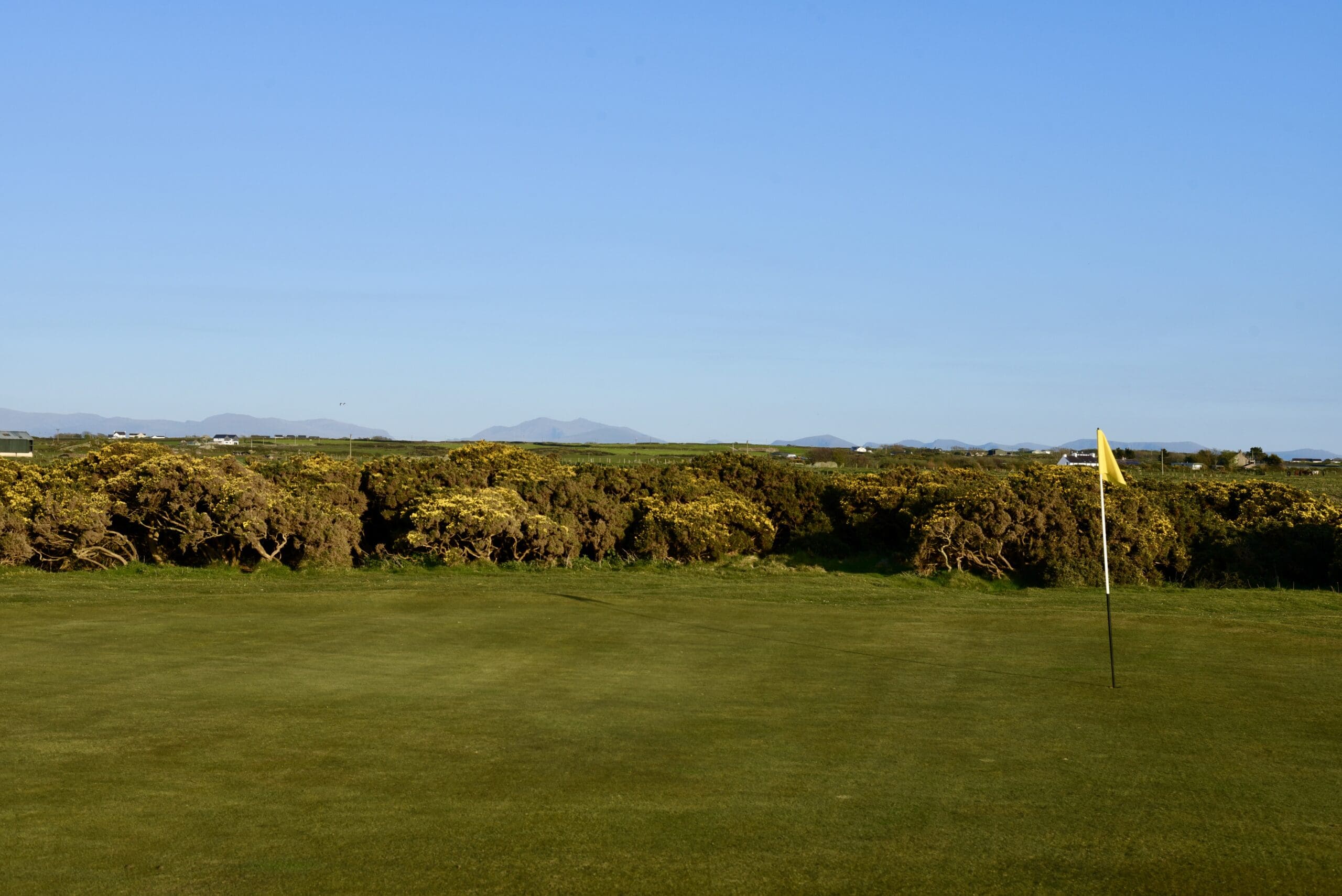 DSC_1751 DSC_1751