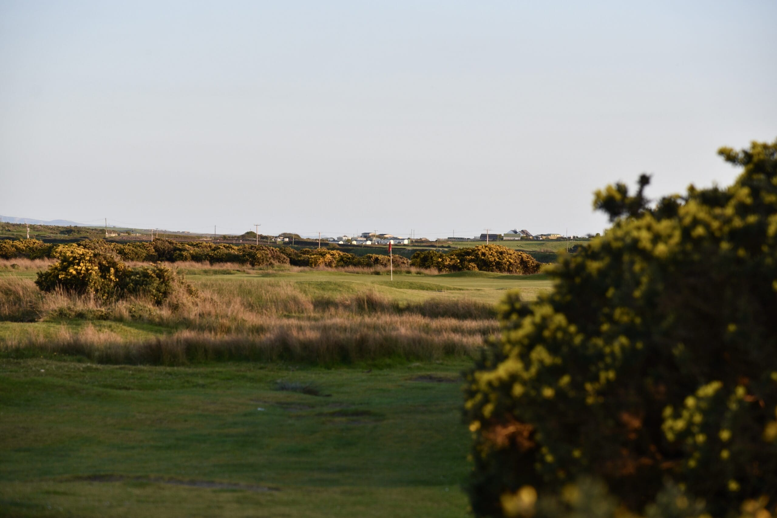 DSC_1776 DSC_1776
