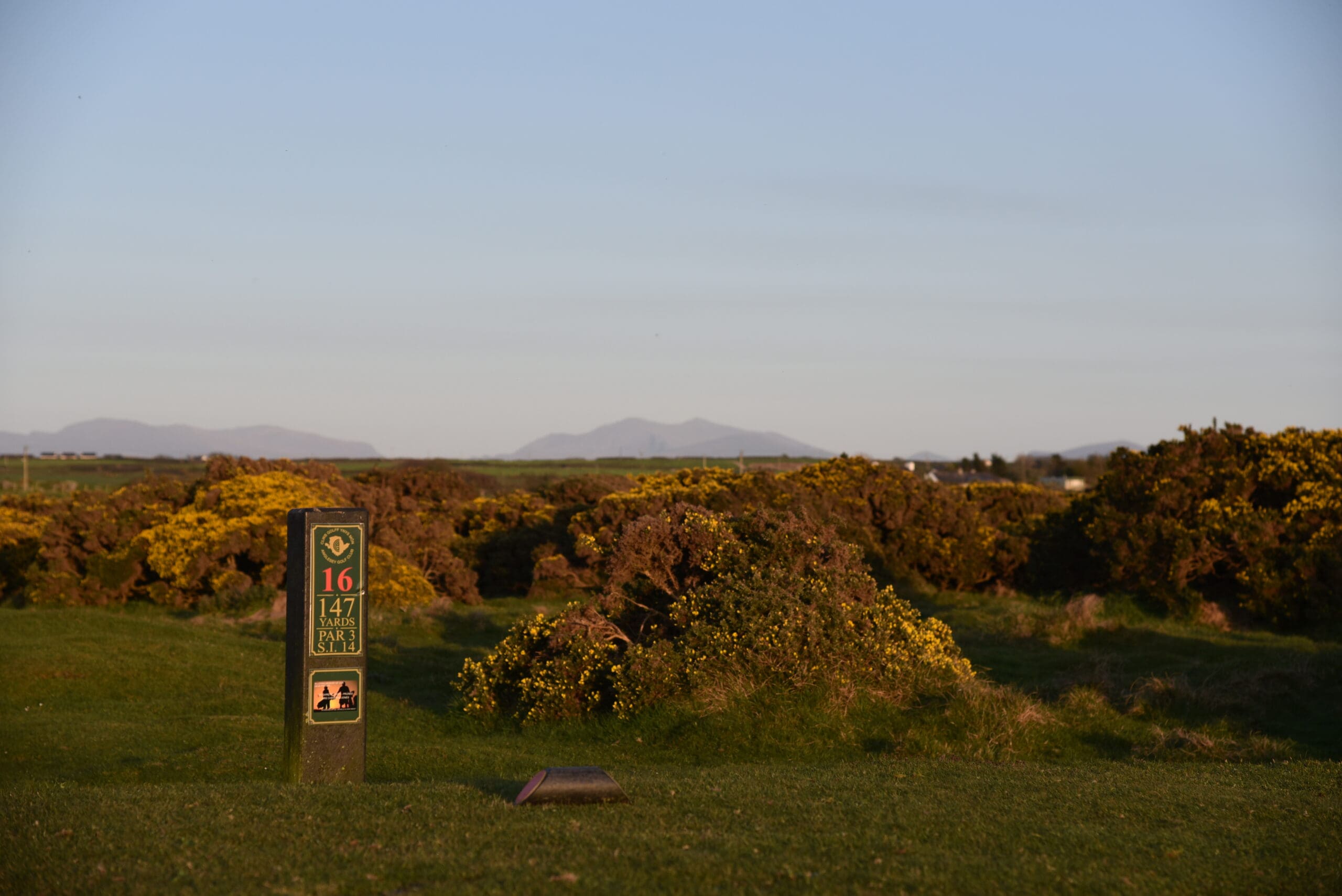 DSC_1778 DSC_1778