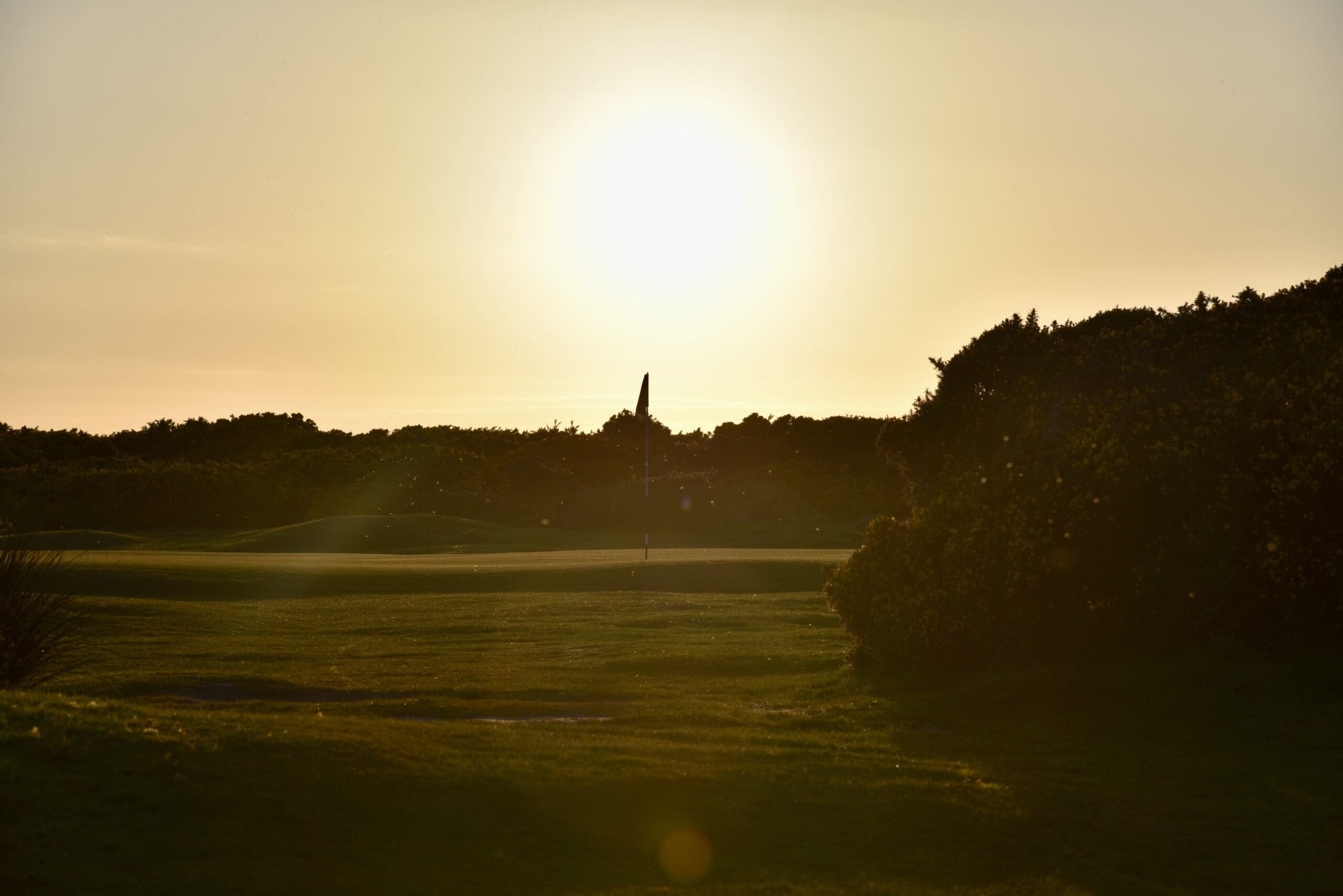 DSC_1780 DSC_1780