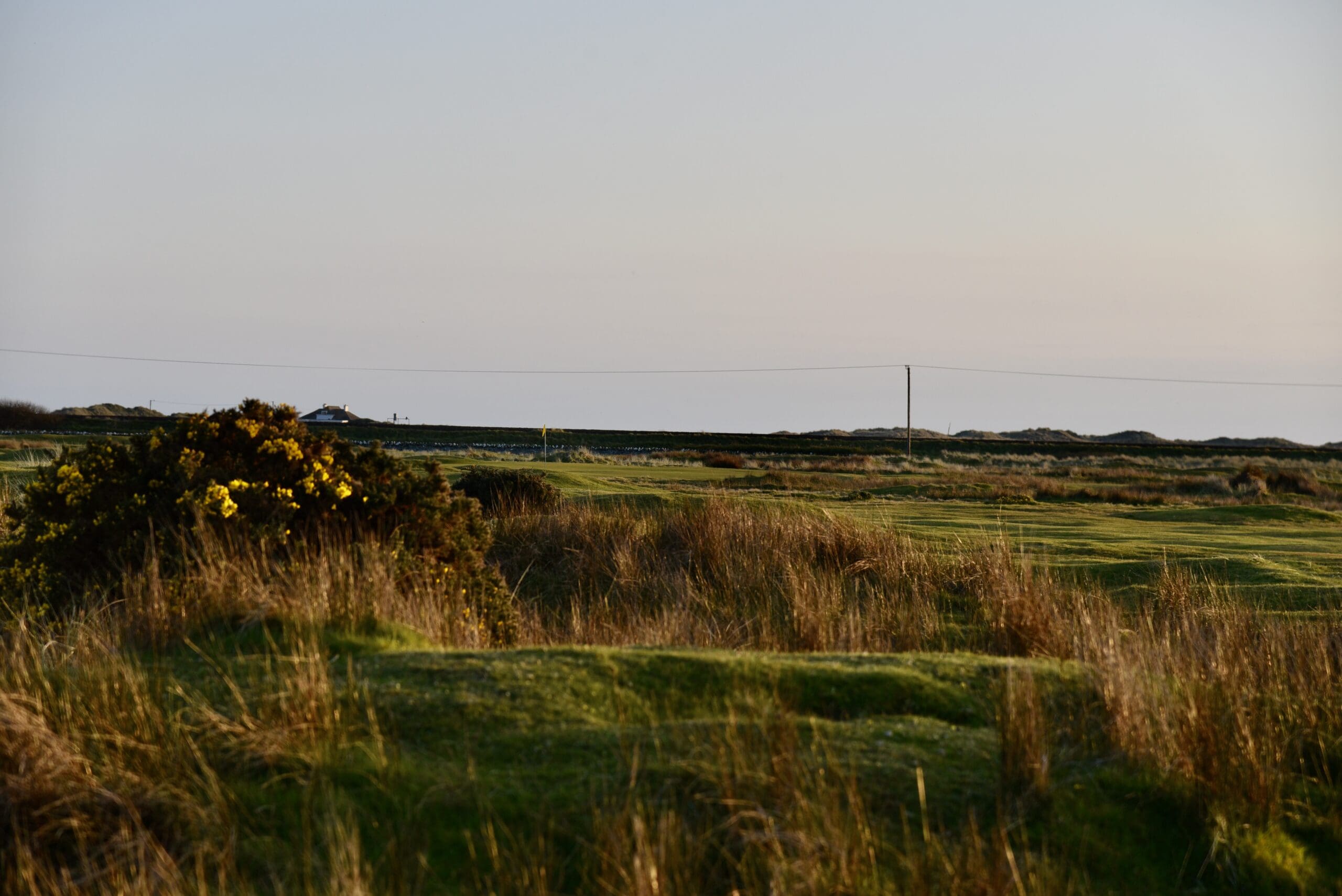DSC_1787 DSC_1787